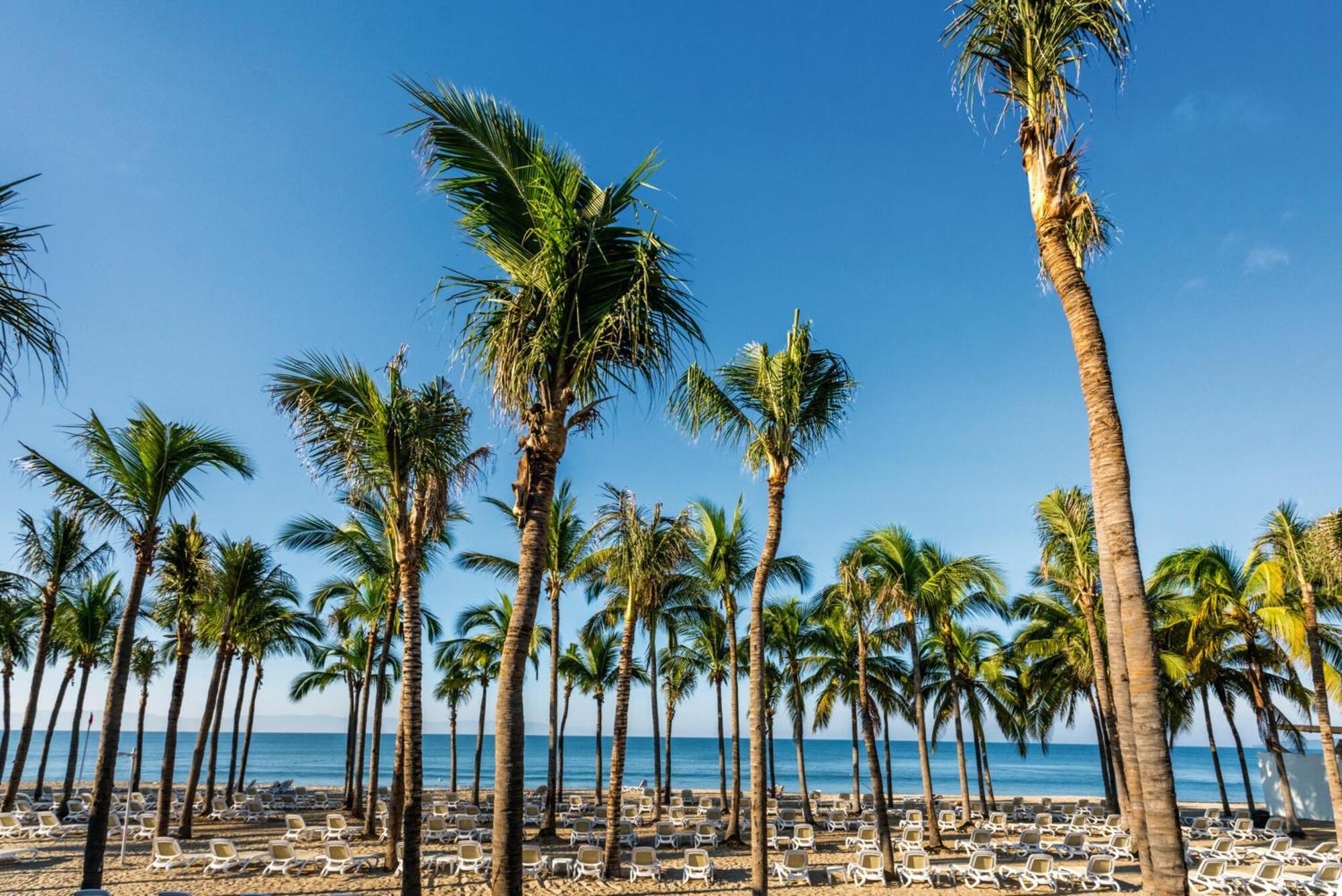 Riu Vallarta Nuevo Vallarta Zewnętrze zdjęcie